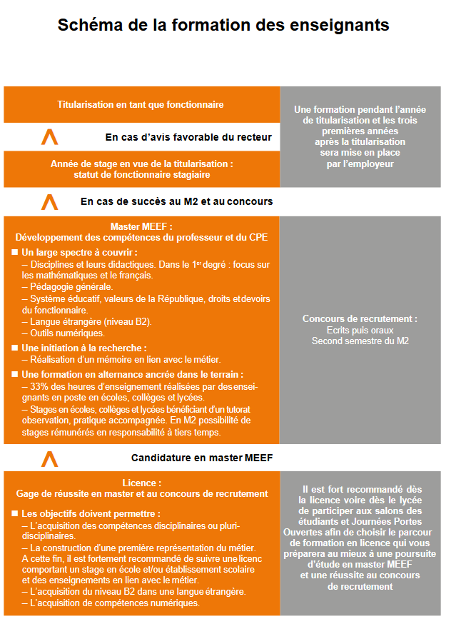 Schema formation 23